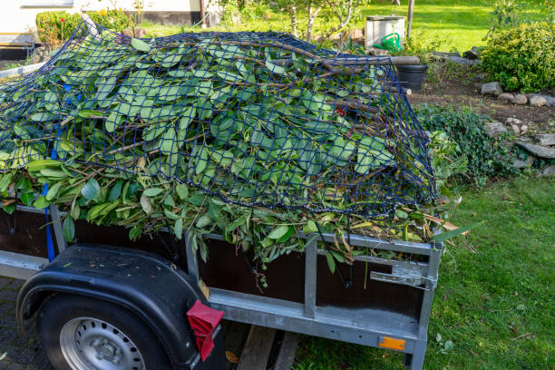 Best Commercial Junk Removal  in High Springs, FL